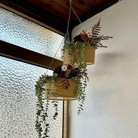 Tower View Pensión *