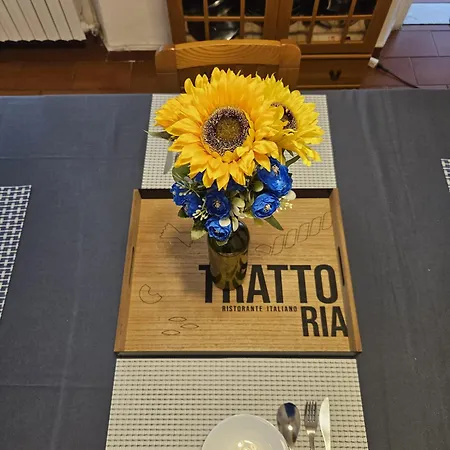 Tower View Pensión *